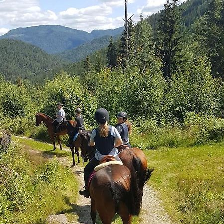 River Run Ranch - Telemark Drangedal Экстерьер фото