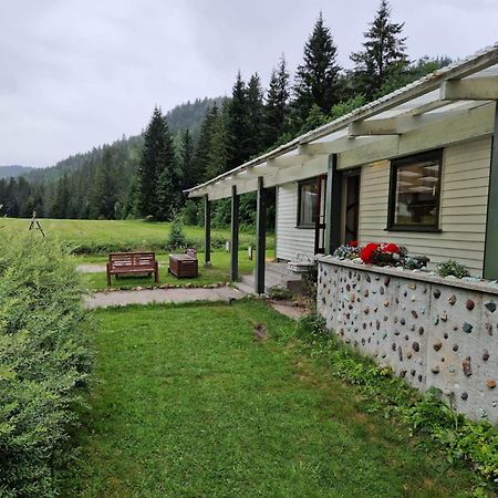 River Run Ranch - Telemark Drangedal Экстерьер фото