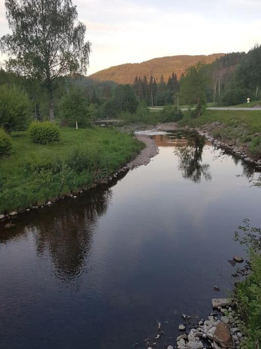 River Run Ranch - Telemark Drangedal Экстерьер фото