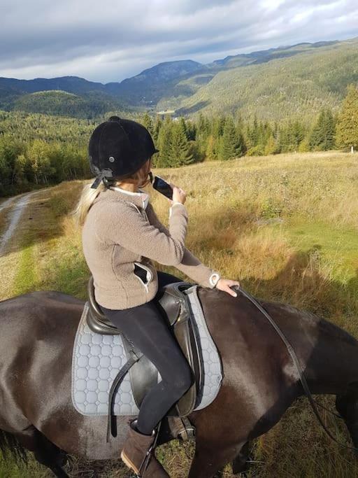 River Run Ranch - Telemark Drangedal Экстерьер фото