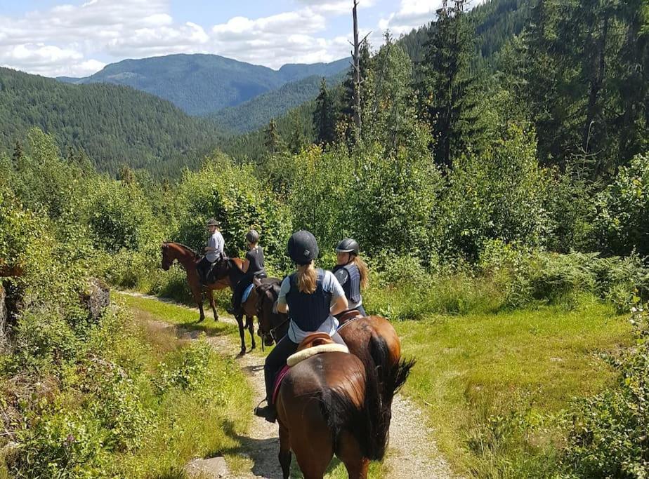 River Run Ranch - Telemark Drangedal Экстерьер фото