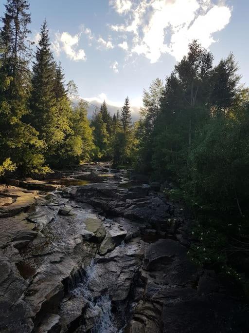 River Run Ranch - Telemark Drangedal Экстерьер фото