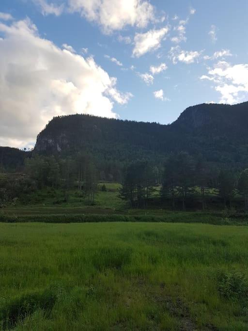River Run Ranch - Telemark Drangedal Экстерьер фото
