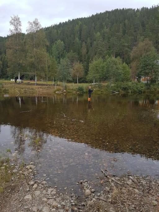 River Run Ranch - Telemark Drangedal Экстерьер фото