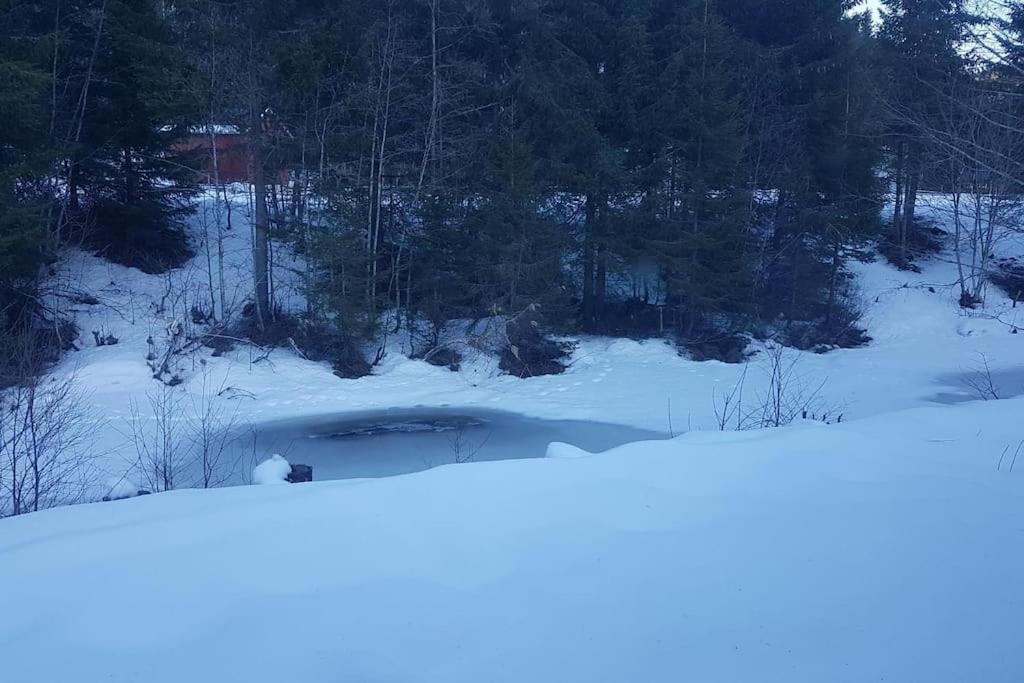 River Run Ranch - Telemark Drangedal Экстерьер фото