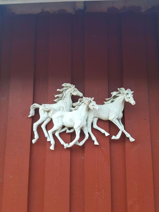 River Run Ranch - Telemark Drangedal Экстерьер фото