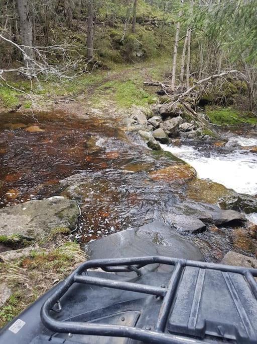 River Run Ranch - Telemark Drangedal Экстерьер фото