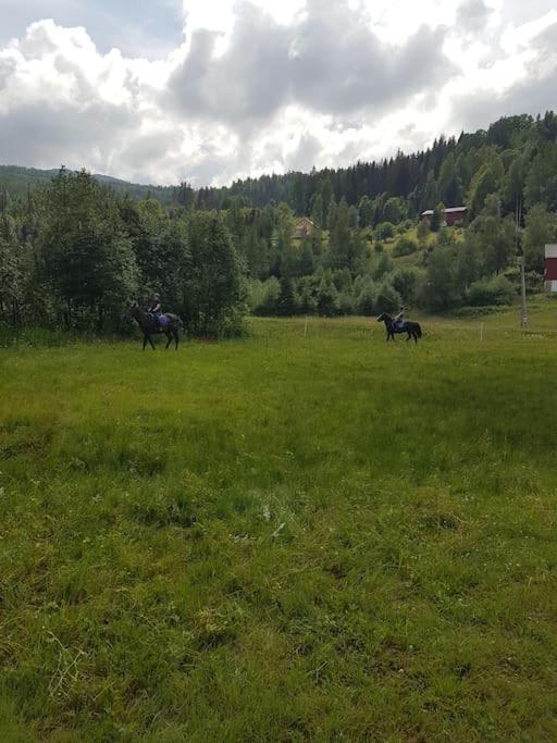 River Run Ranch - Telemark Drangedal Экстерьер фото