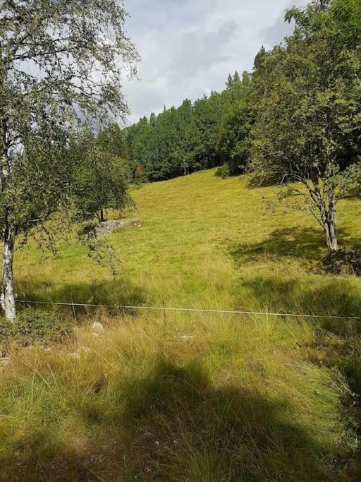 River Run Ranch - Telemark Drangedal Экстерьер фото