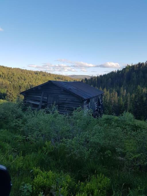 River Run Ranch - Telemark Drangedal Экстерьер фото
