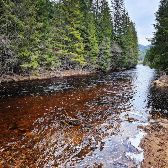 River Run Ranch - Telemark Drangedal Экстерьер фото