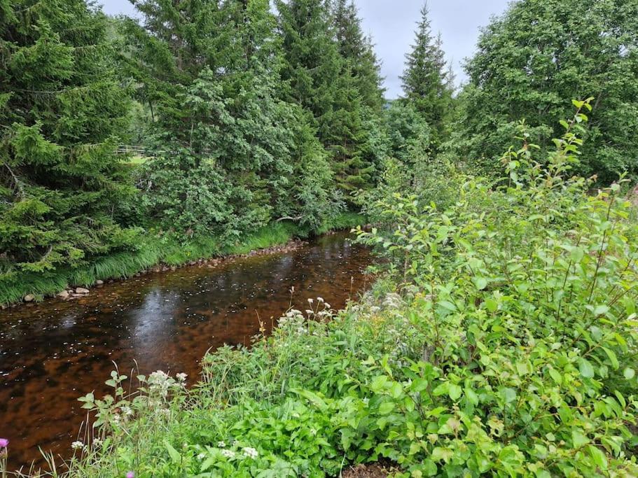 River Run Ranch - Telemark Drangedal Экстерьер фото