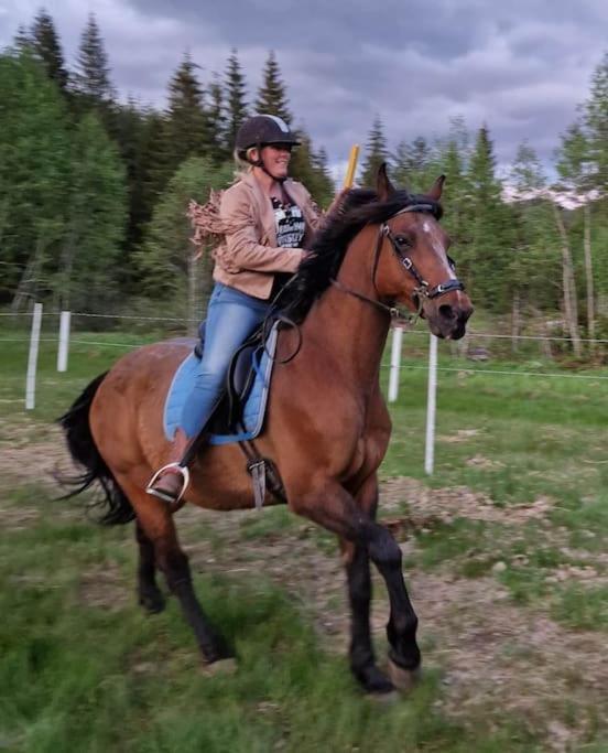River Run Ranch - Telemark Drangedal Экстерьер фото