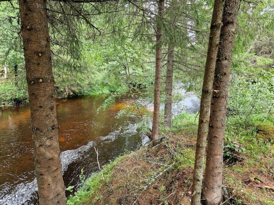 River Run Ranch - Telemark Drangedal Экстерьер фото