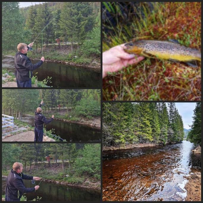 River Run Ranch - Telemark Drangedal Экстерьер фото