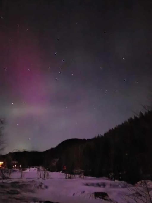 River Run Ranch - Telemark Drangedal Экстерьер фото